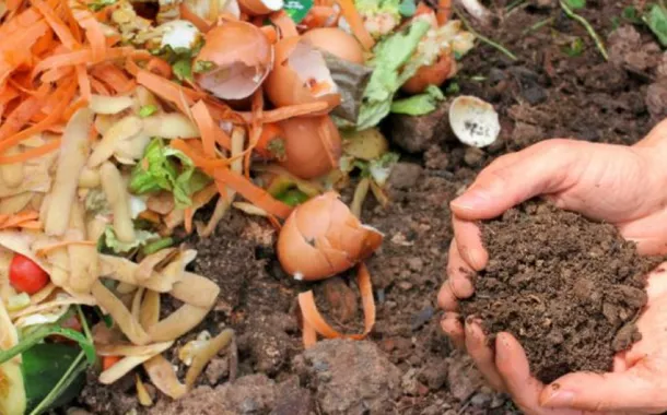 Compostagem doméstica reduz lixo e cria fertilizante natural