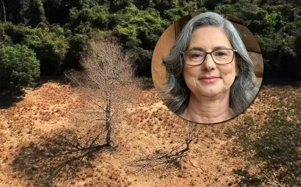 "O mundo está comendo a Amazônia": Luciana Gatti alerta para destruição ambiental e fascismo ecológico