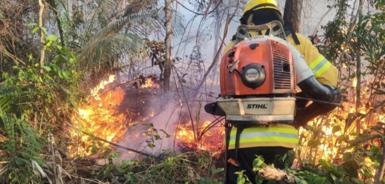 Incêndio avança sobre Morro do Pai Inácio e assusta moradores e turistas na Chapada Diamantina