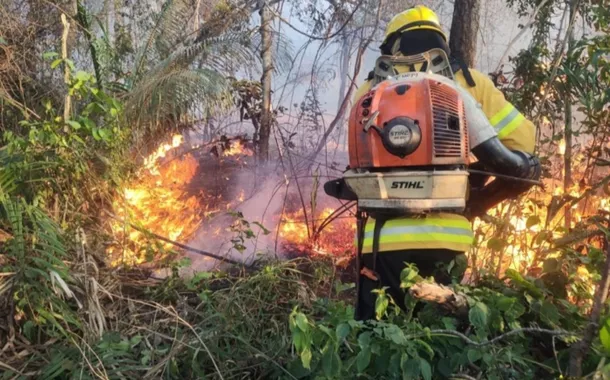 BNDES e MMA destinam R$ 45 milhões ao Pará para reforçar combate a incêndios florestais
