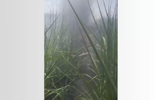 Avião de pequeno porte cai em canavial no interior de SP e mata duas pessoas