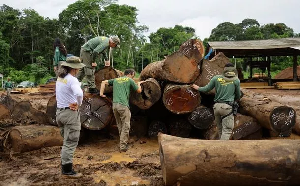 ONG acusa Chanel e Louis Vuitton de usarem couro ligado ao desmatamento na Amazônia