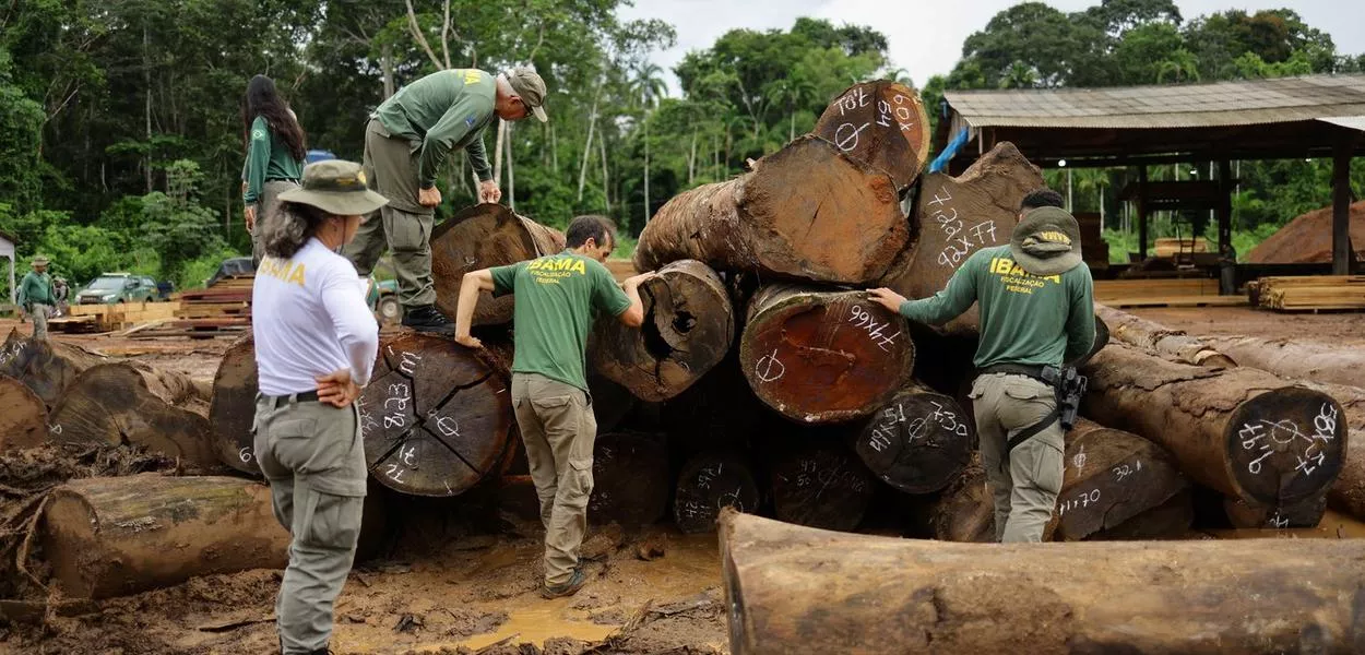 Agentes do Ibama inspecionam toras apreendidas na floresta amazônica durante operação de combate ao desmatamento, em serraria em Nova Califórnia, Rondônia
08/02/2025