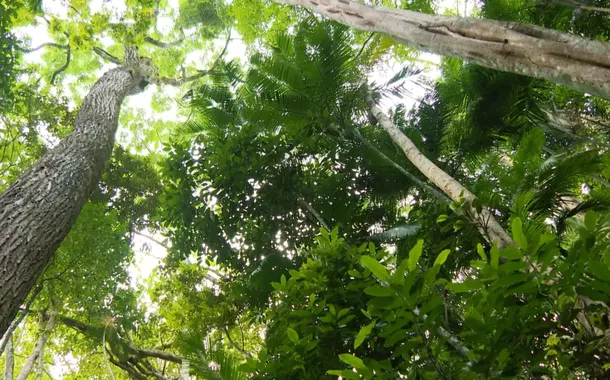 Coalizão global convoca ações contra a desinformação climática