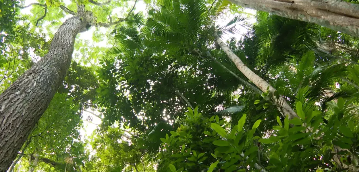Natureza