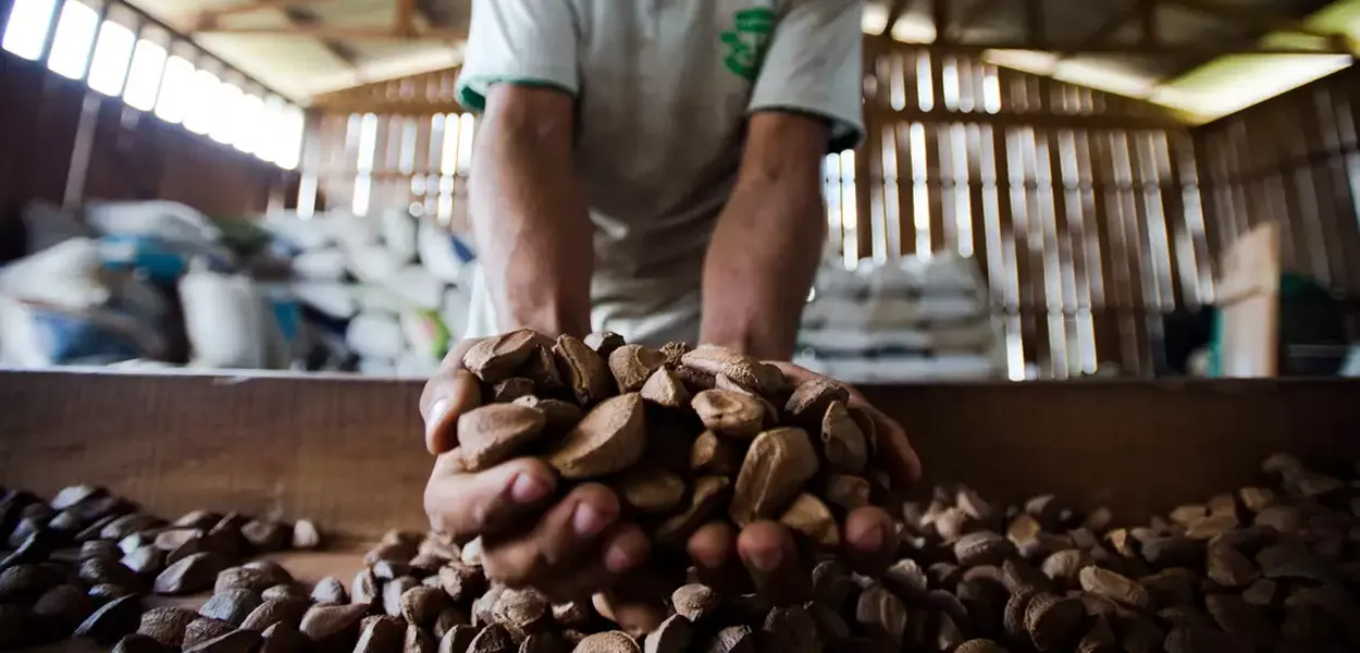 O Brasil na vanguarda da reconfiguração econômica global: do ativo ambiental à economia do usar