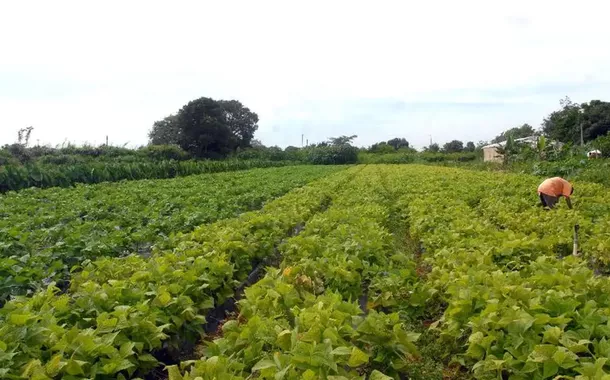 Crédito rural sustentável acelera no Nordeste com a força do BNDES e do BNB
