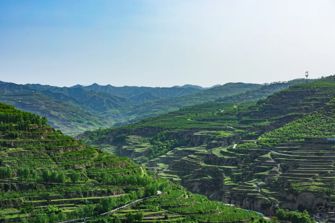 Prioridades clave destacadas en el Documento Central No. 1 de China para 2025