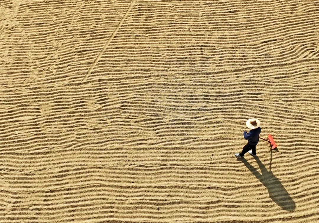 Prioridades clave destacadas en el Documento Central No. 1 de China para 2025