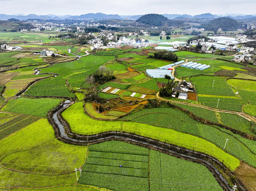 Prioridades clave destacadas en el Documento Central No. 1 de China para 2025