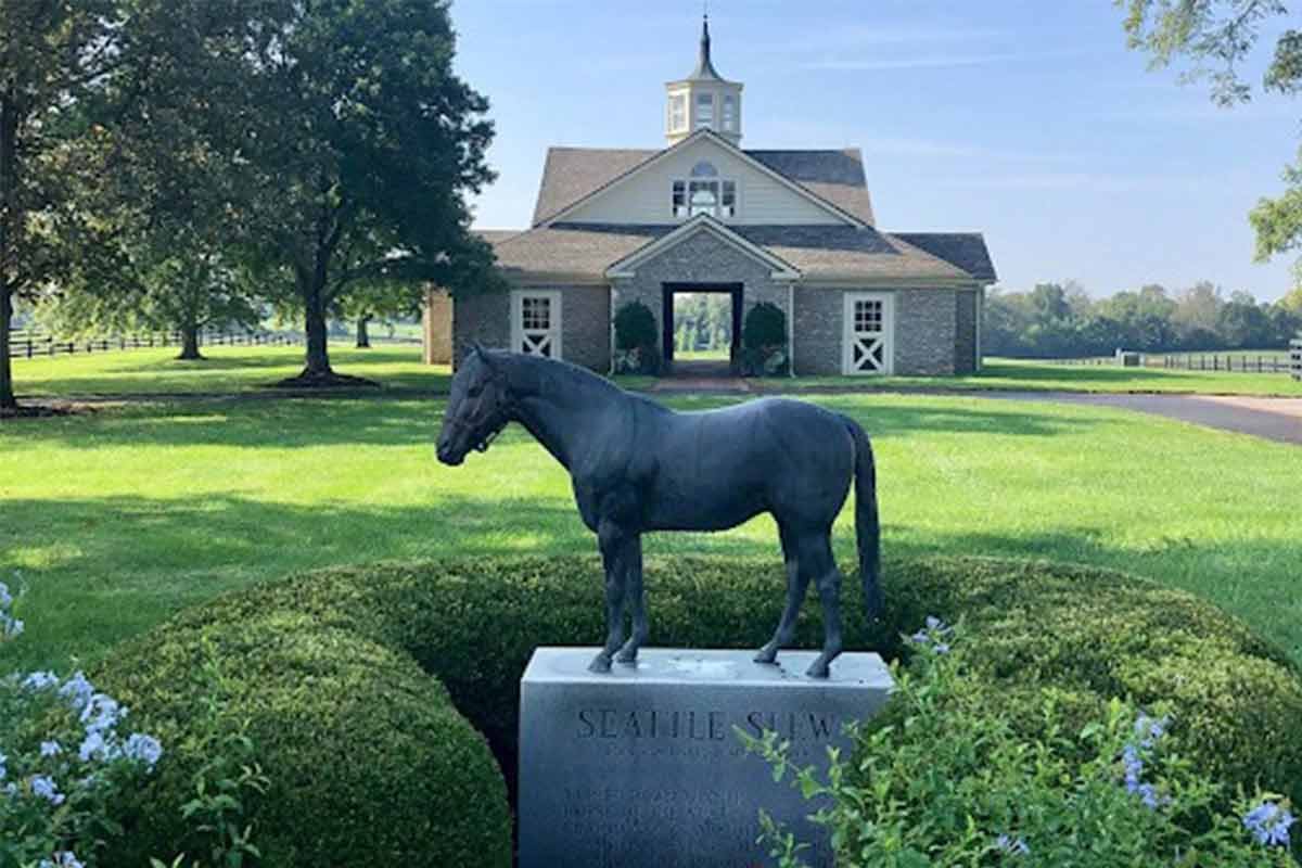Origem genética do cavalo puro-sangue inglês; Gonçalo Torrealba comenta
