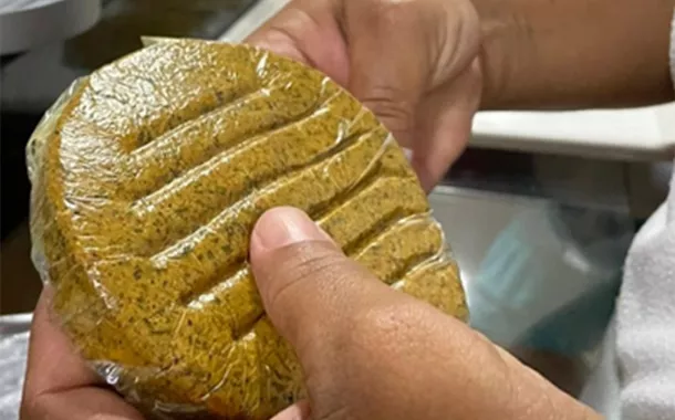 Quebradeiras de coco e cientistas criam hambúrguer de babaçu e farinha de amêndoas