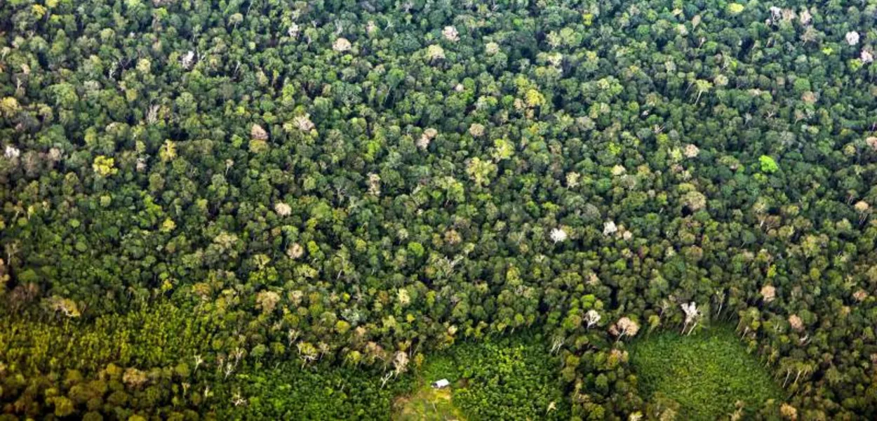 Área de Preservação Ambiental (APA) Triunfo do Xingu (PA)