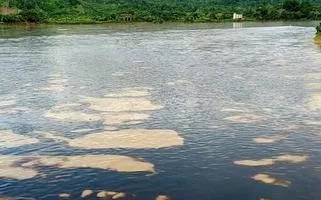 Mandas de óleo no rio Esmeraldas, na província de Esmeraldas, Equador.