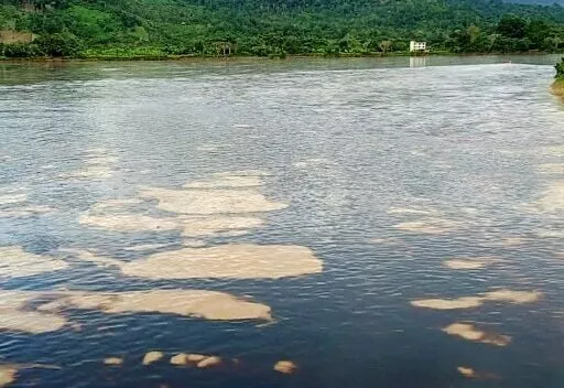 Mandas de óleo no rio Esmeraldas, na província de Esmeraldas, Equador.