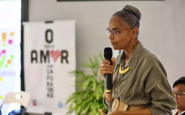 Sem citar Margem Equatorial, Marina defende papel 'técnico do Ibama'