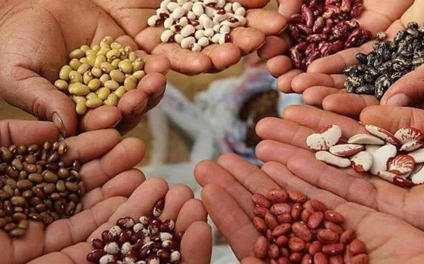 Combater a fome no mundo ainda é um grande desafio