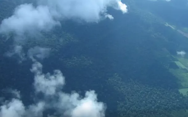 Petrobras comprará R$ 450 milhões em créditos de carbono na Amazônia