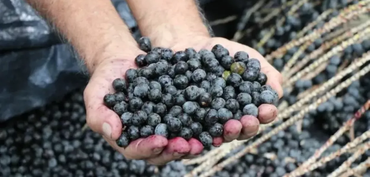 Açaí