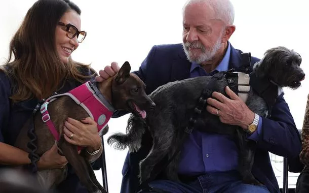 Lula lança programa de identificação e proteção de cães e gatos