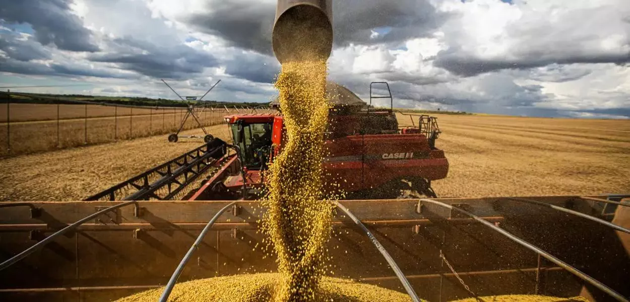 Estudo aponta 142 empresários do agronegócio envolvidos em tentativa de golpe