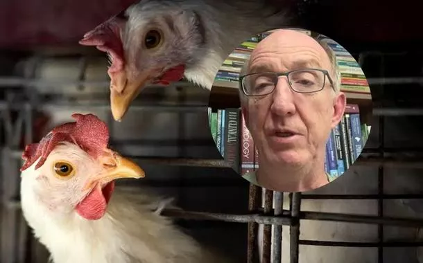 "Uma única mutação pode tornar o H5N1 transmissível entre humanos", aponta infectologista