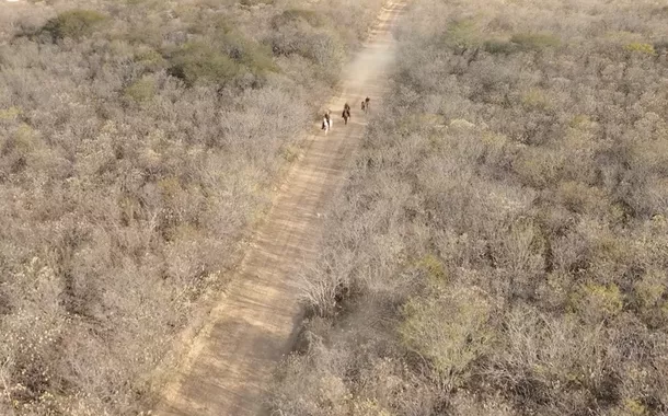 Vaqueiros na caatinga