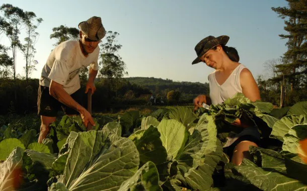 Dia da Trabalhadora e do Trabalhador Rural celebra protagonismo de quem garante alimento e desenvolvimento ao país