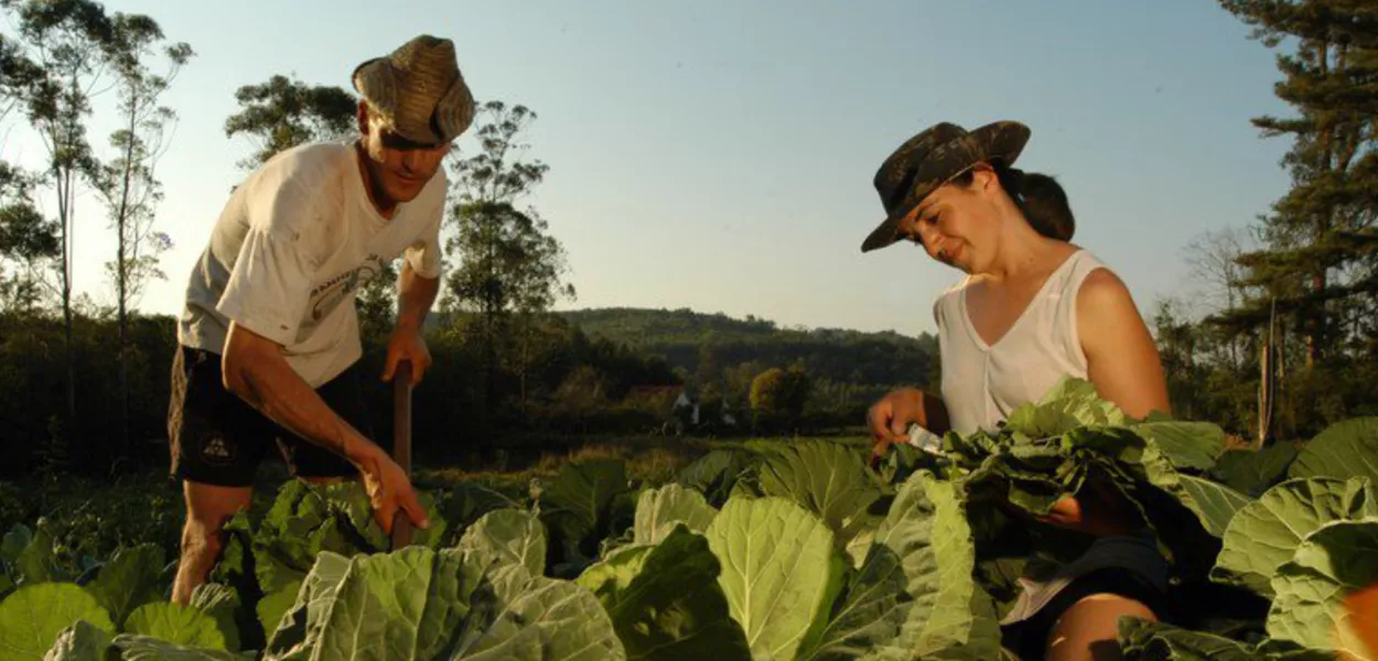 25 de maio, Dia da Trabalhadora e do Trabalhador Rural