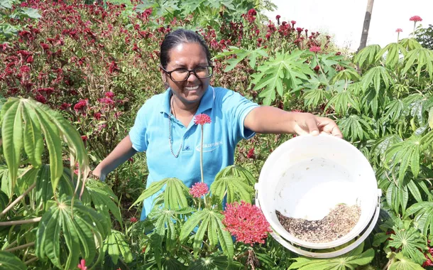 Transformação no campo: Suriname colhe frutos da cooperação com a China