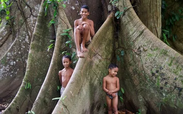 Crianças na floresta