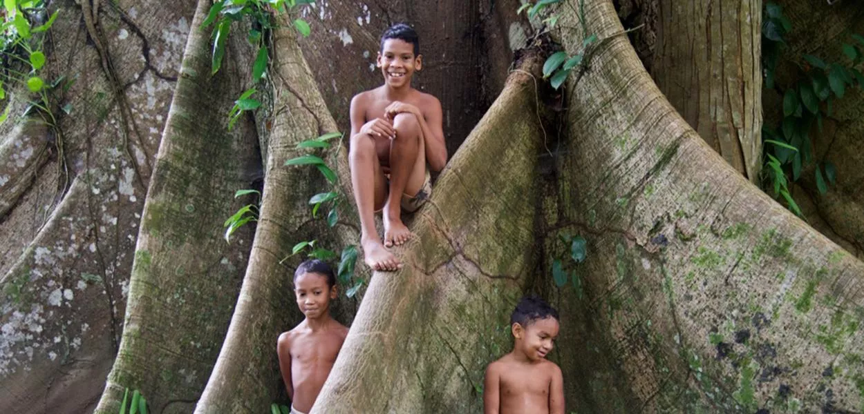 Crianças na floresta