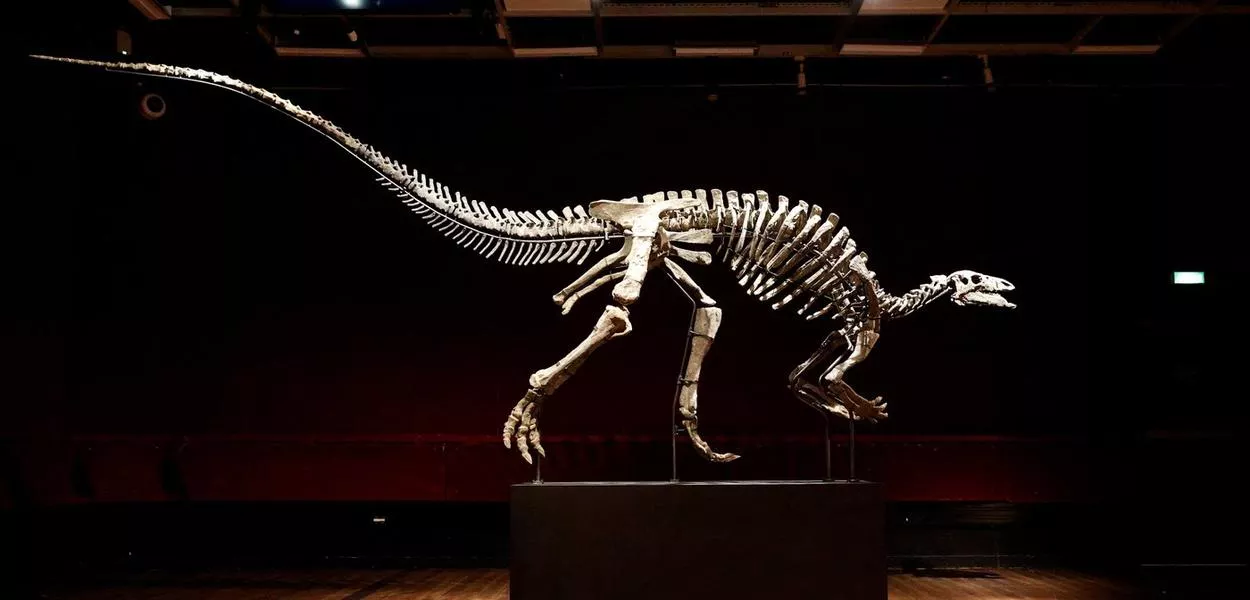 Dinossauro 