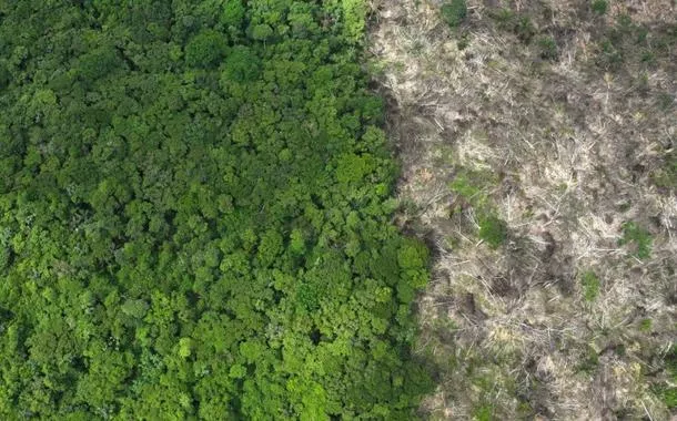 Área desmatada da Floresta Amazônica, no Brasil
21/01/2023
