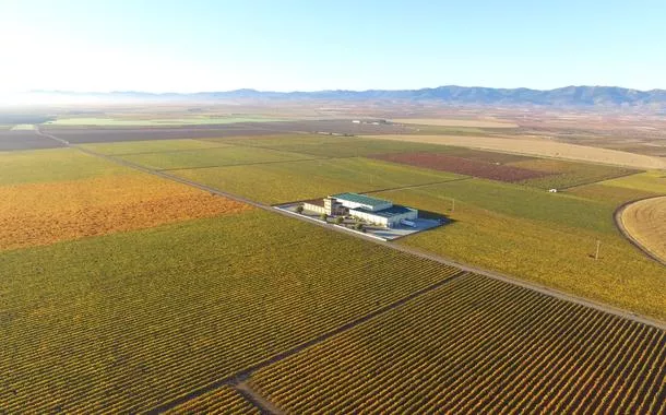 Como o setor de vinhos contribui com a preservação do planeta
