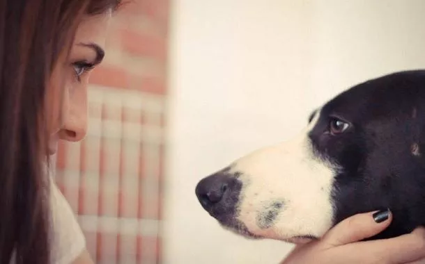 Projeto “Segunda Chance” transforma abandono animal em compromisso social