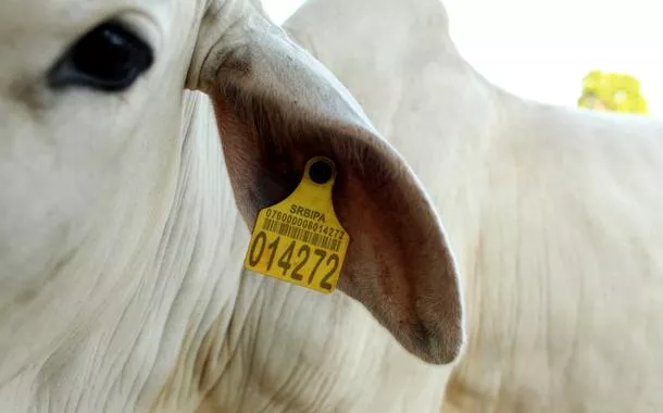 Maranhão se consolida como liderança em sanidade animal