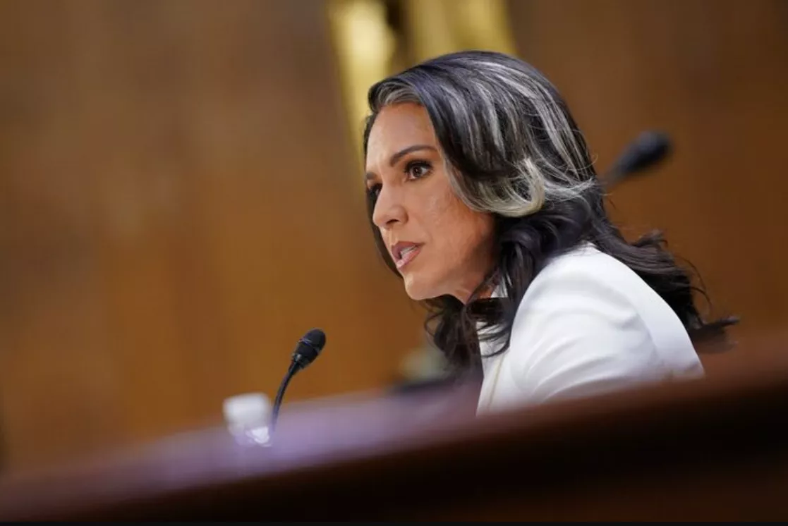 A ex-deputada Tulsi Gabbard, indicada pelo presidente dos EUA, Donald Trump, para ser diretora nacional de inteligência, testemunha perante uma audiência de confirmação do Comitê de Inteligência do Senado, no Capitólio, em Washington, EUA, em 30 de janeiro de 2025
