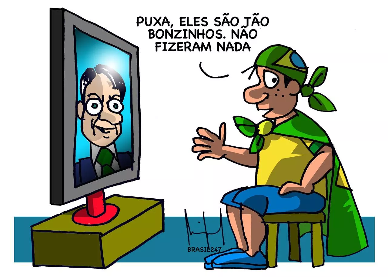 Gado vendo TV - 11 de junho de 2023