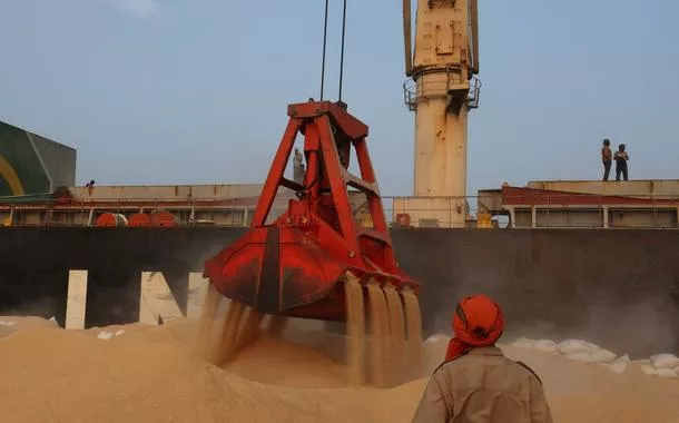 Cepea aponta queda na margem das processadoras de soja do Brasil