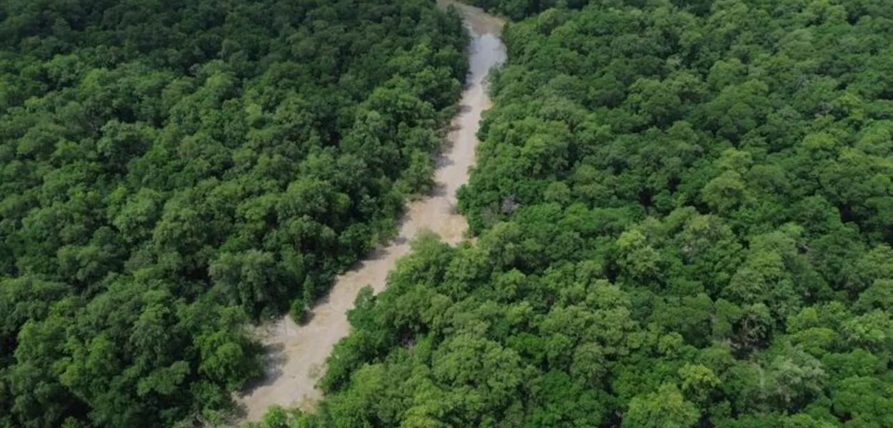 Vista de um braço do Rio Caeté em área de manguezal na Reserva Extrativista Marinha de Caeté-Taperaçu monitorada pelo projeto Mangues da Amazônia. 