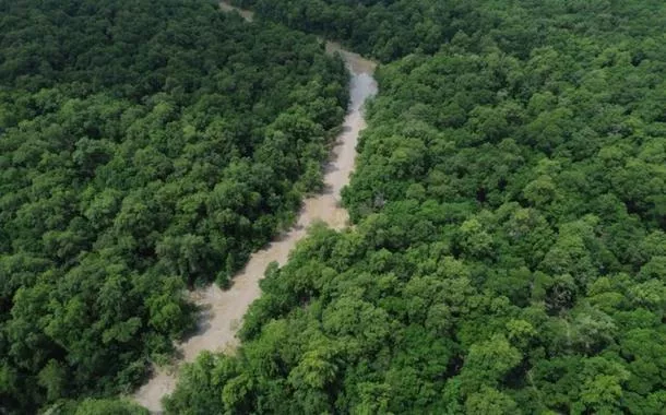 Vista de um braço do Rio Caeté em área de manguezal na Reserva Extrativista Marinha de Caeté-Taperaçu monitorada pelo projeto Mangues da Amazônia. 
