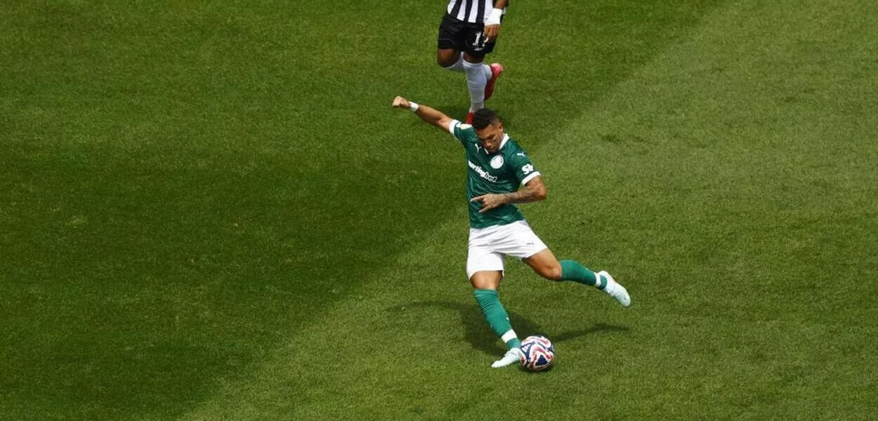 Paulinho marca o gol da vitória do Palmeiras contra o Botafogo