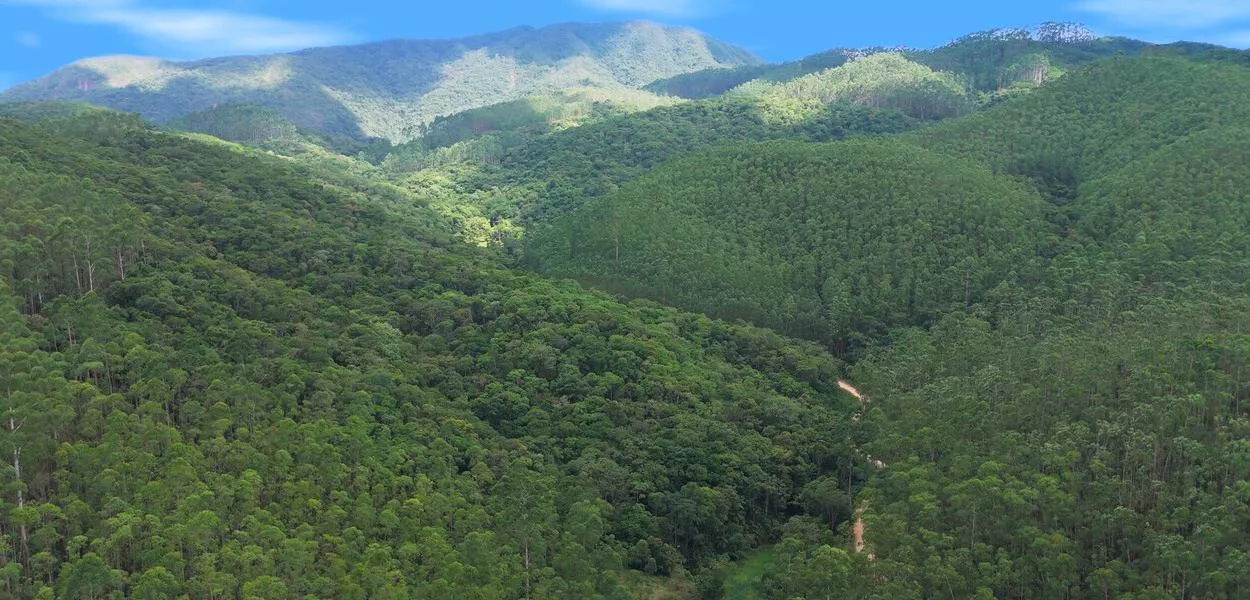 Axia avalia planta de hidrogênio verde em parceria com Espírito Santo