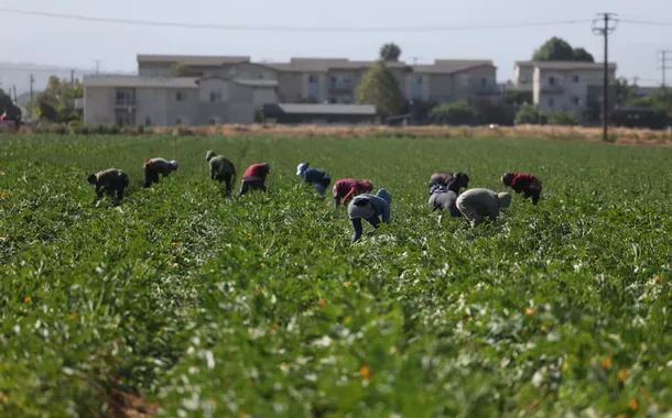 Fazendas da Califórnia perdem até 70% da mão de obra após batidas do ICE