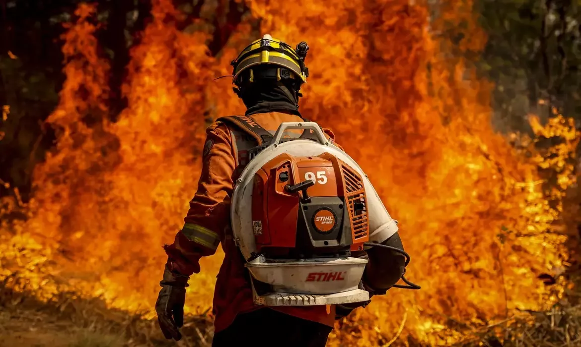 Ações de combate a incêndios e queimadas no Cerrado e no Pantanal poderão ter recursos do Fundo Amazônia