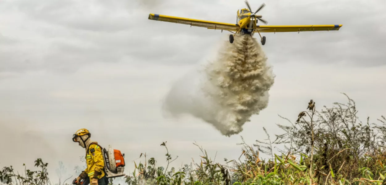 Brigadistas combatem incêndios florestais