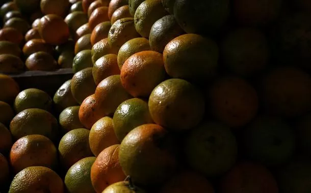 Tarifa de 50% dos EUA ao Brasil é péssima para exportadores de suco de laranja, diz CitrusBR