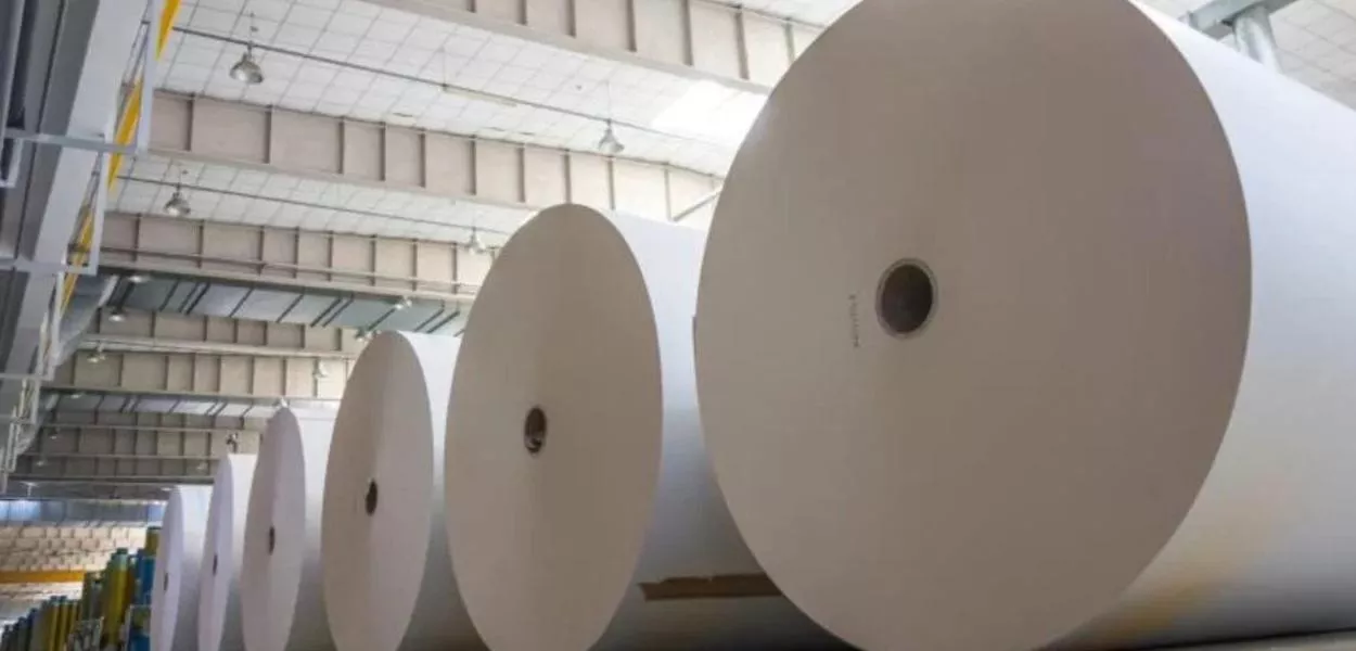 Brasil responde por 37% das importações estadunidenses de celulose, usada na fabricação de papel, embalagens e fraldas