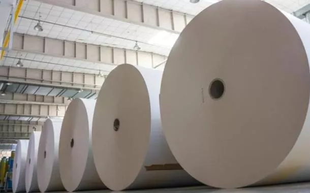 Brasil responde por 37% das importações estadunidenses de celulose, usada na fabricação de papel, embalagens e fraldas